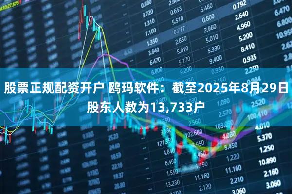 股票正规配资开户 鸥玛软件：截至2025年8月29日股东人数为13,733户