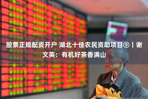 股票正规配资开户 湖北十佳农民资助项目⑨丨谢文英：有机好茶香满山
