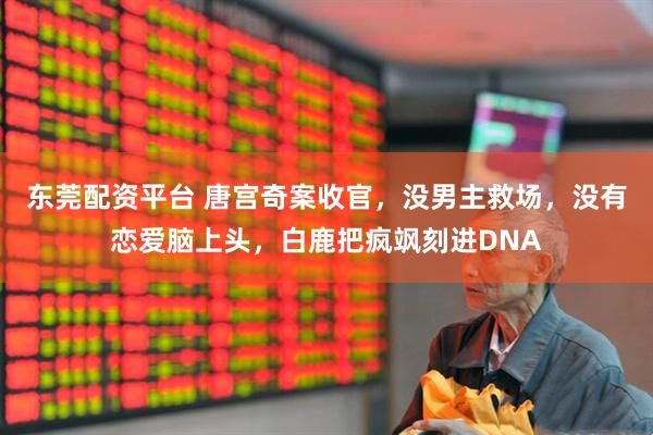 东莞配资平台 唐宫奇案收官，没男主救场，没有恋爱脑上头，白鹿把疯飒刻进DNA