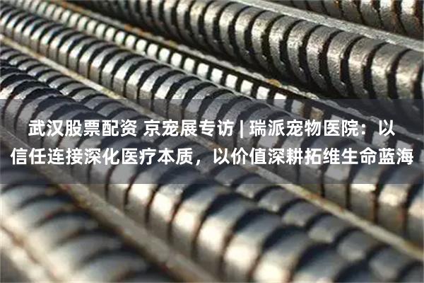 武汉股票配资 京宠展专访 | 瑞派宠物医院：以信任连接深化医疗本质，以价值深耕拓维生命蓝海