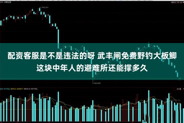 配资客服是不是违法的呀 武丰闸免费野钓大板鲫这块中年人的避难所还能撑多久